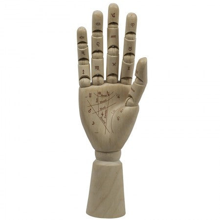 Palmist Hand
